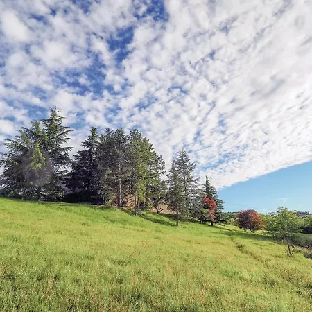 Gruccione * Tagliolo Monferrato